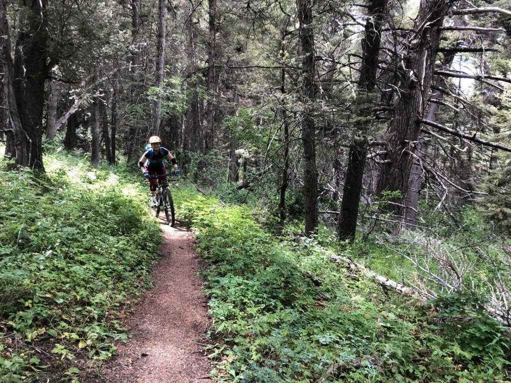 singletrack mountain biking