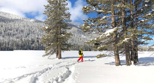 Sunny day cross county skiing in Lake Tahoe near Powder House