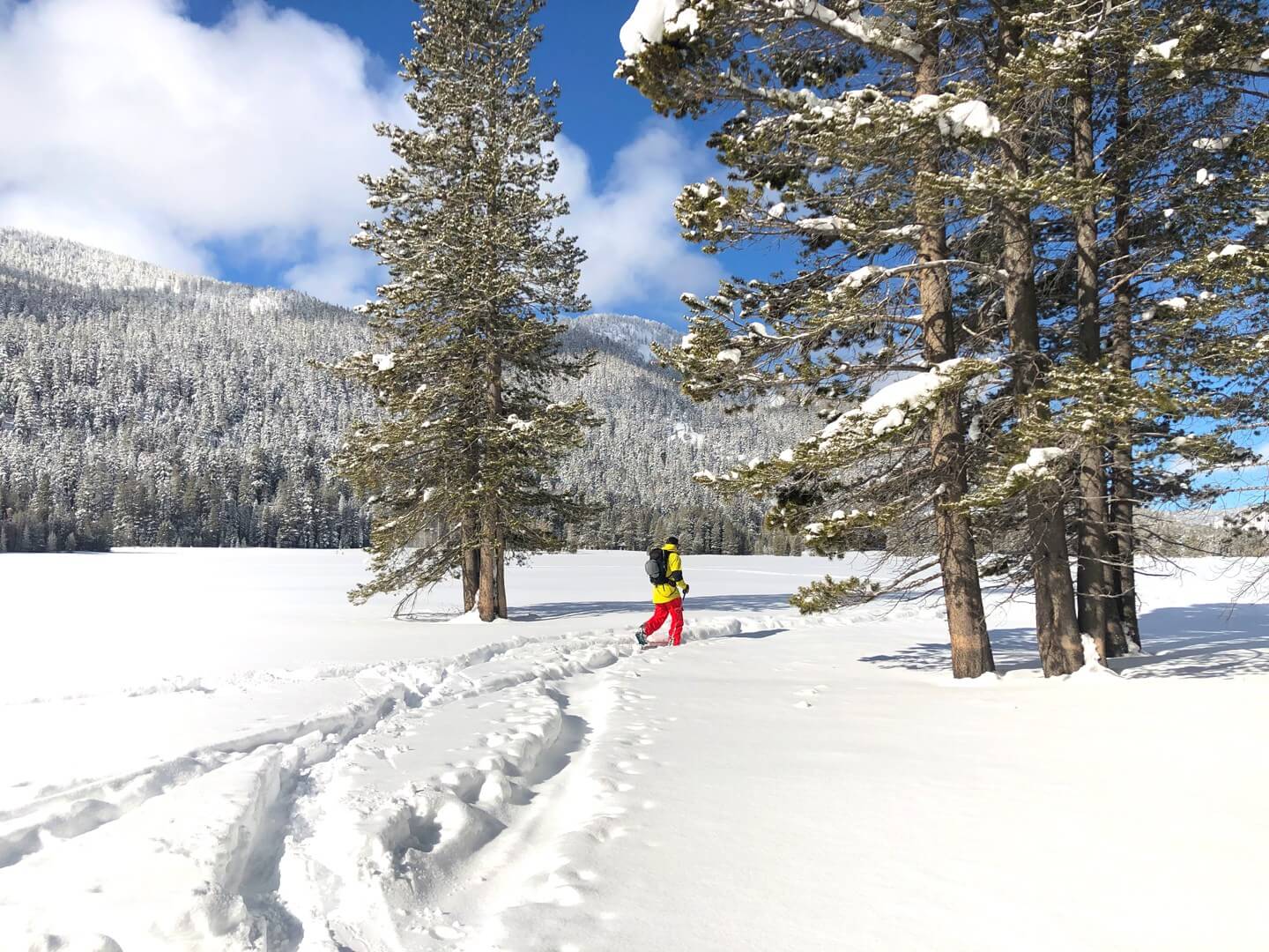 Sunny day cross county skiing in Lake Tahoe near Powder House