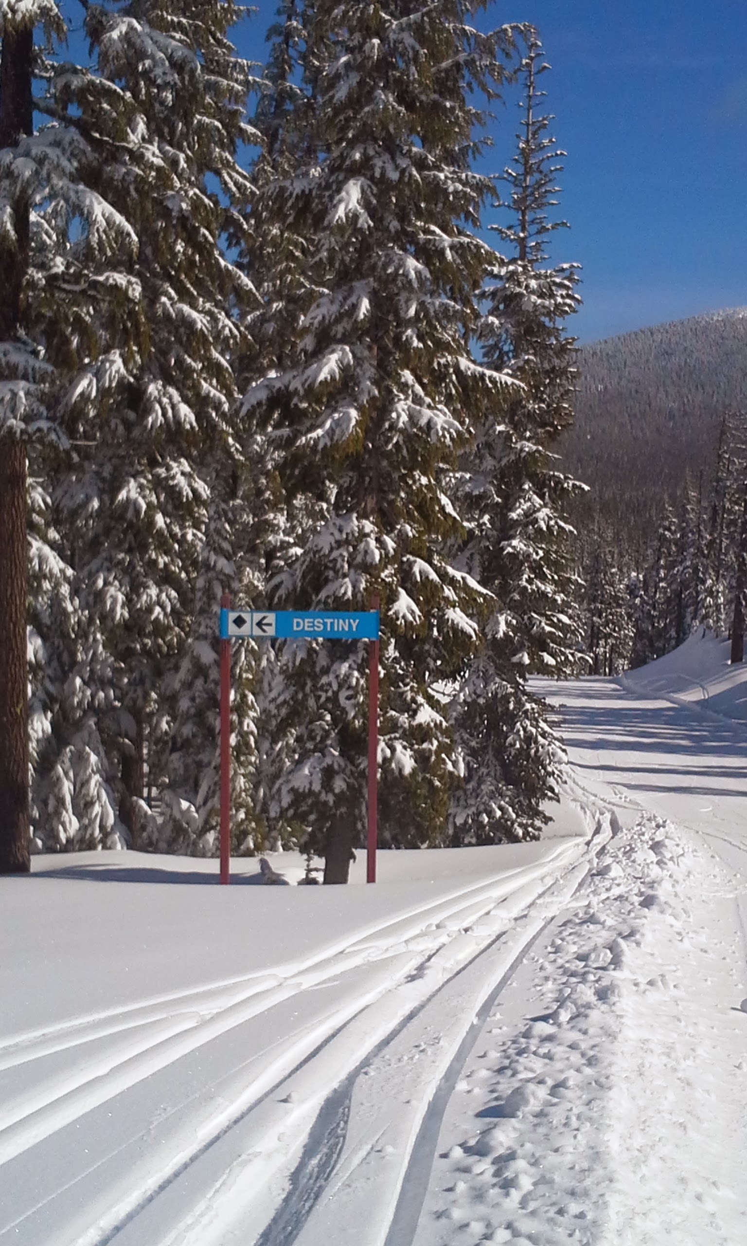 Willamette Pass Ski Area On A Powder Day