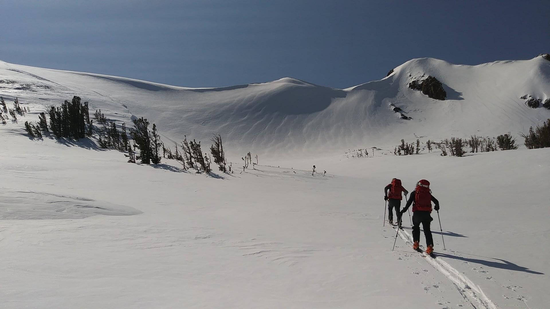 backcountry ski patrol in action in the high sierra