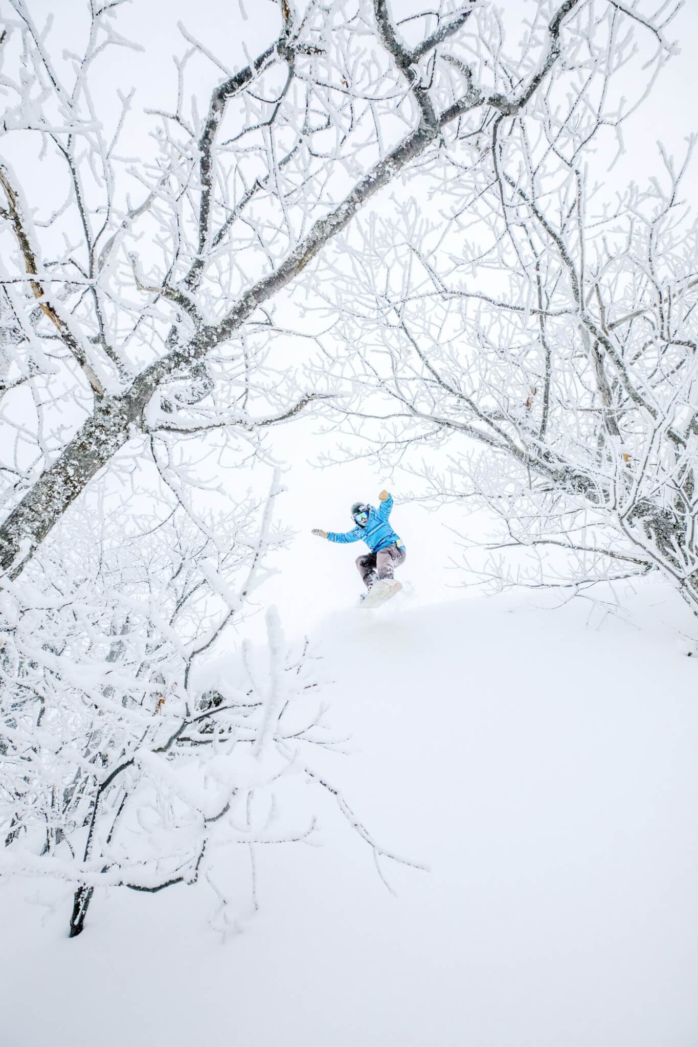 Snowboarder enjoying the powder at Mount Bohemia showcasing upper peninsula skiing at its best