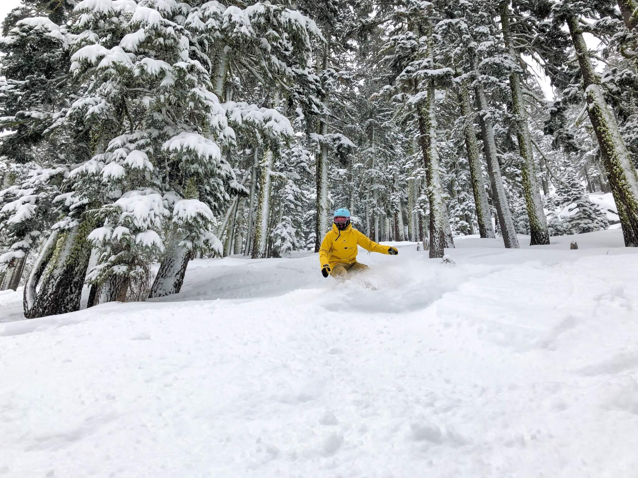 snowboarder enjoying powder while skiing Sierra at Tahoe