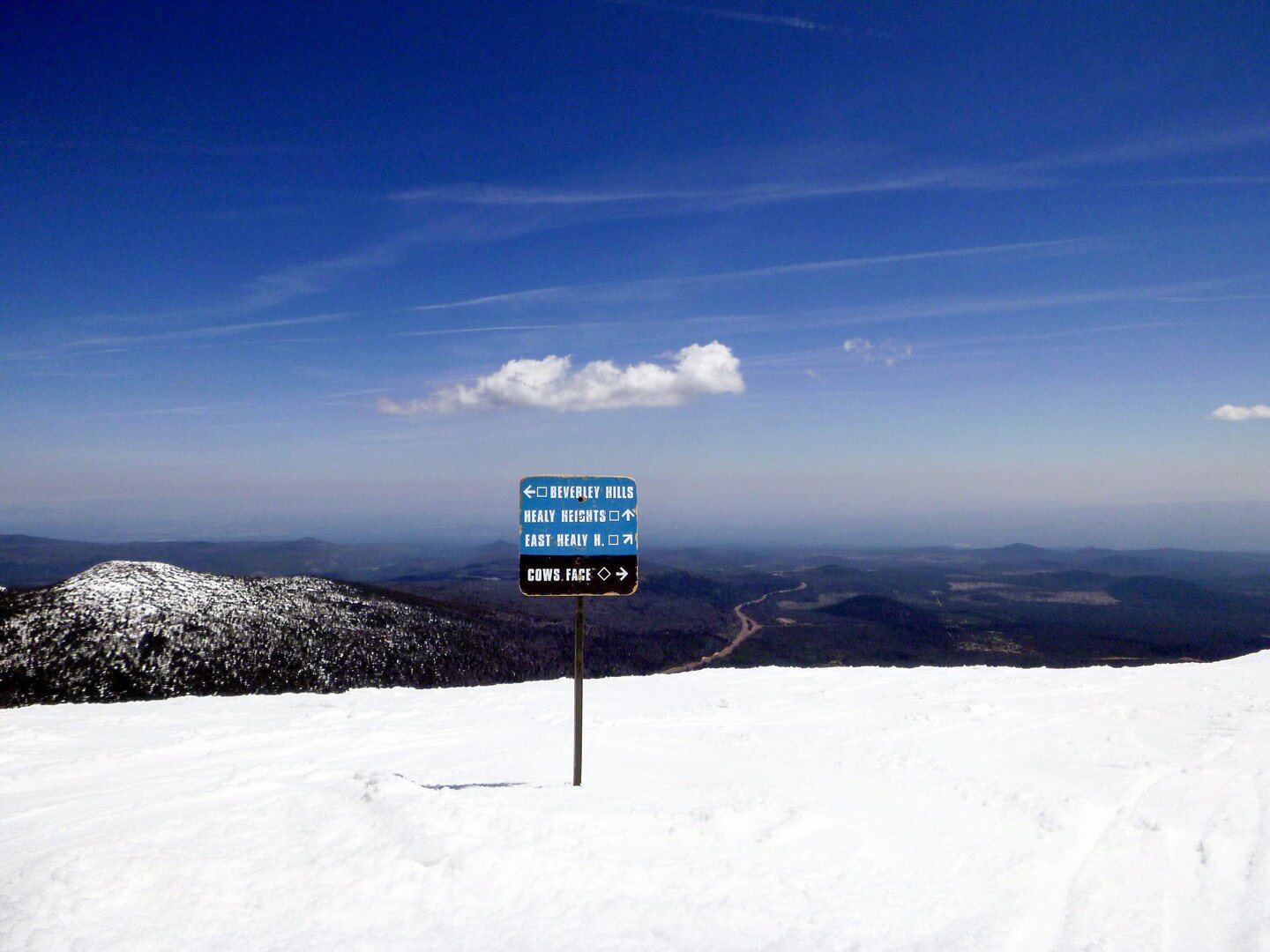 Cow's Face Sign at top of Summit Mt Bachelor Ski Resort