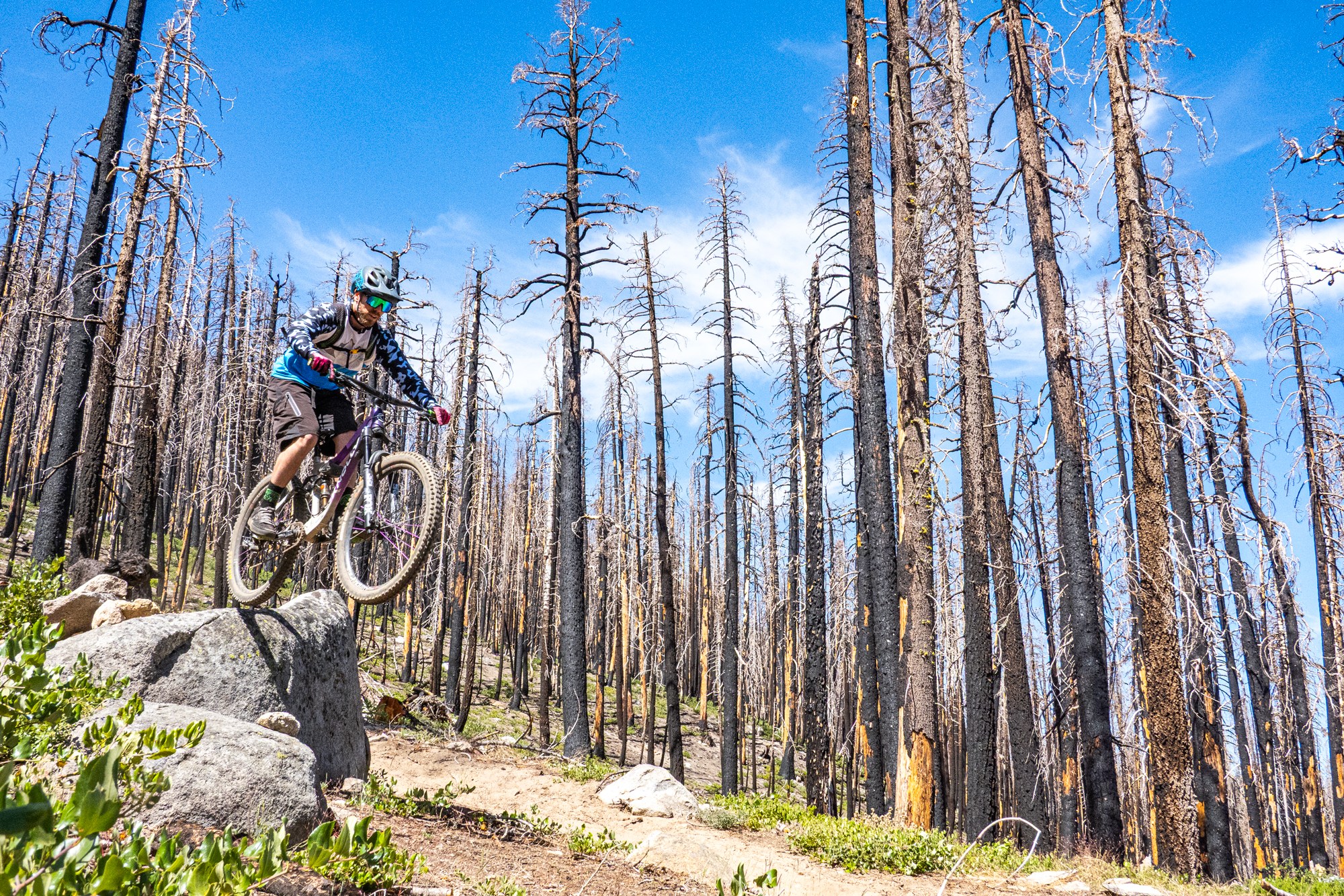mountain biker jumping off rock on Toad's Wild ride in Lake Tahoe
