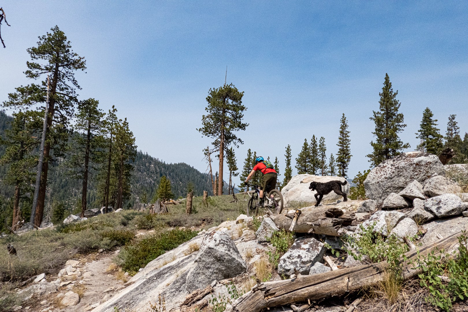 Mountain biker and his dog on Christmas Valley Tahoe trail
