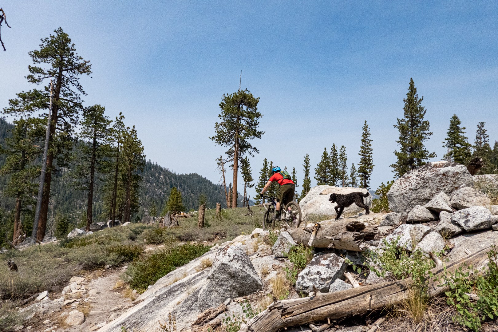 Mountain biker and his dog on the Christmas Valley Tahoe Trail