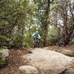 Octopussy on 007 mountain bike trail in Bass Lake California