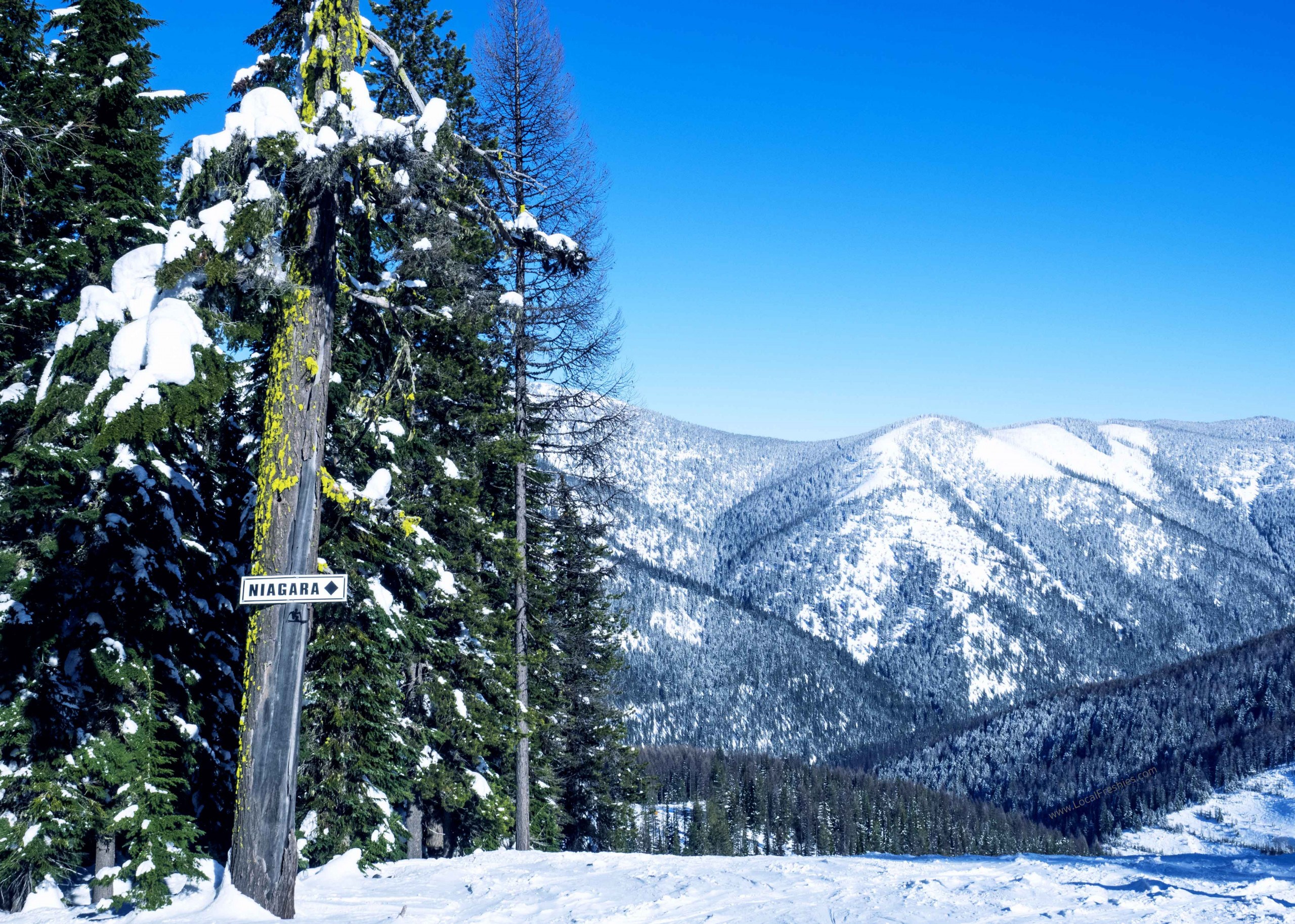 Niagara trail at Lookout Pass Ski Area