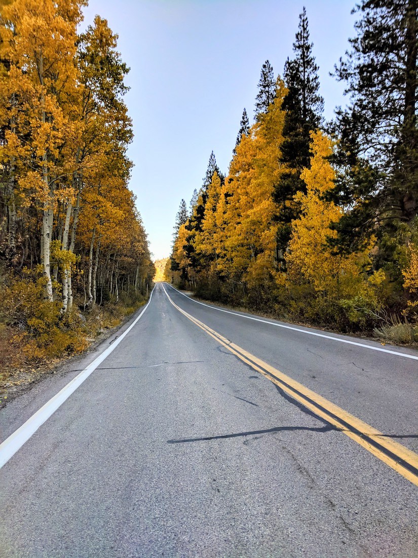 June Lake fall colors on June Lake Loop