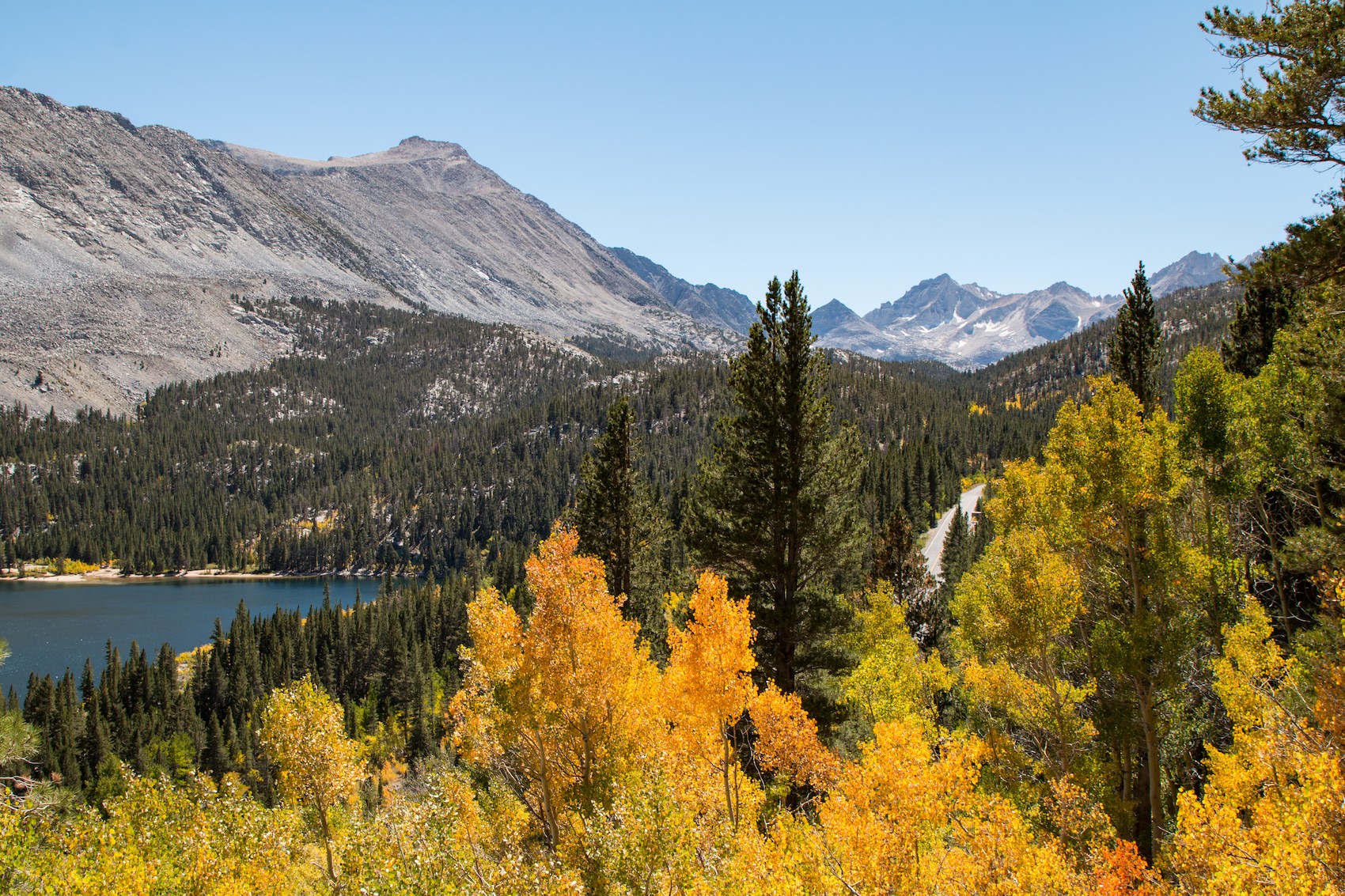 fall foliage on Rock Creek Lake California