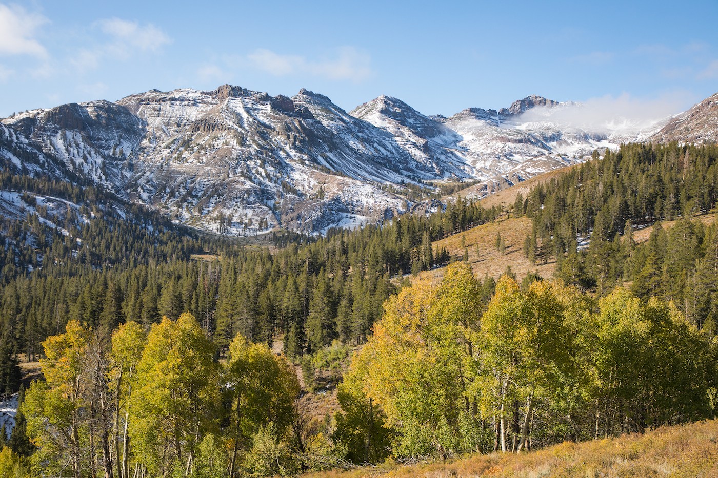 Sonora Pass fall colors