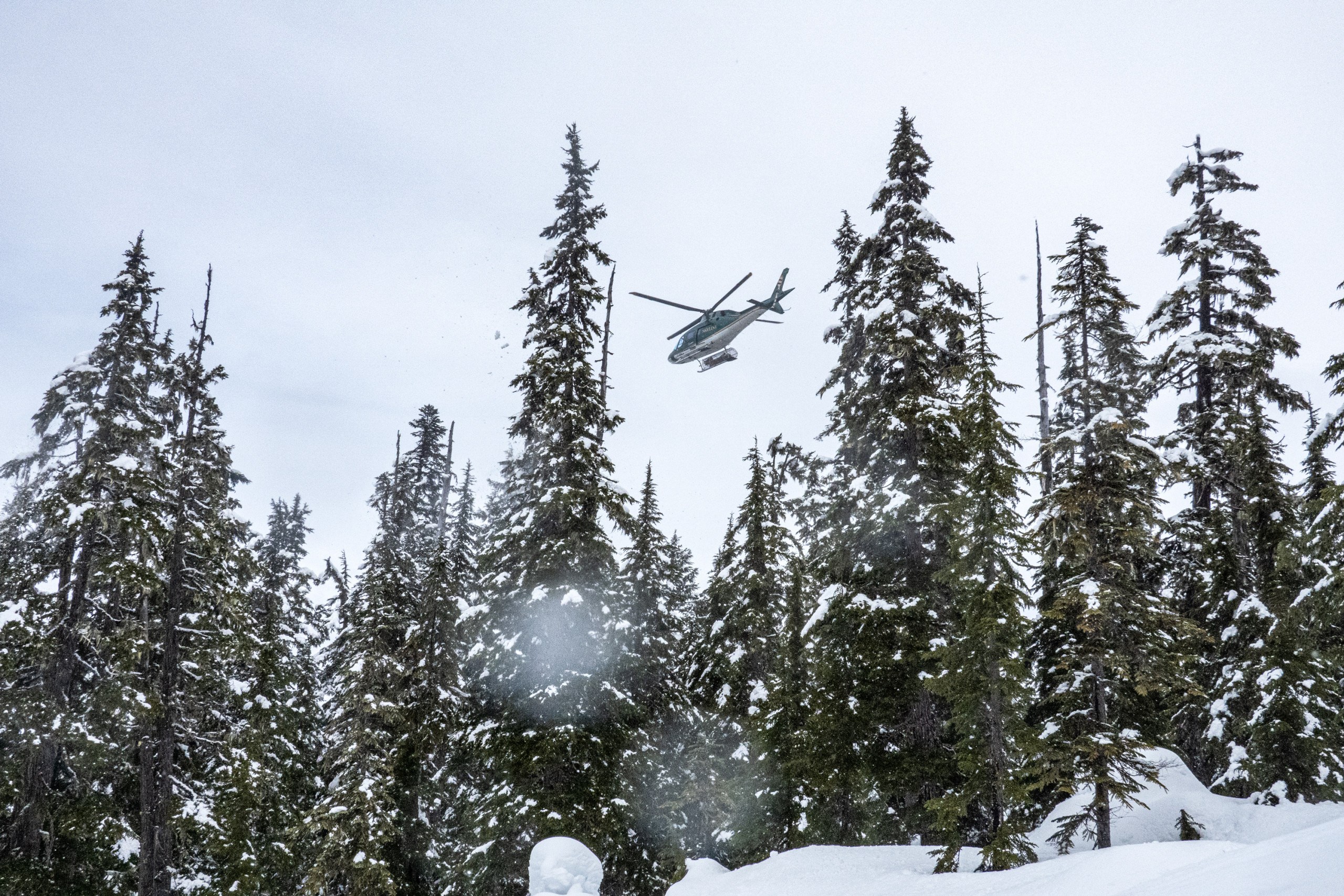 Helicopter flying barely over canopy