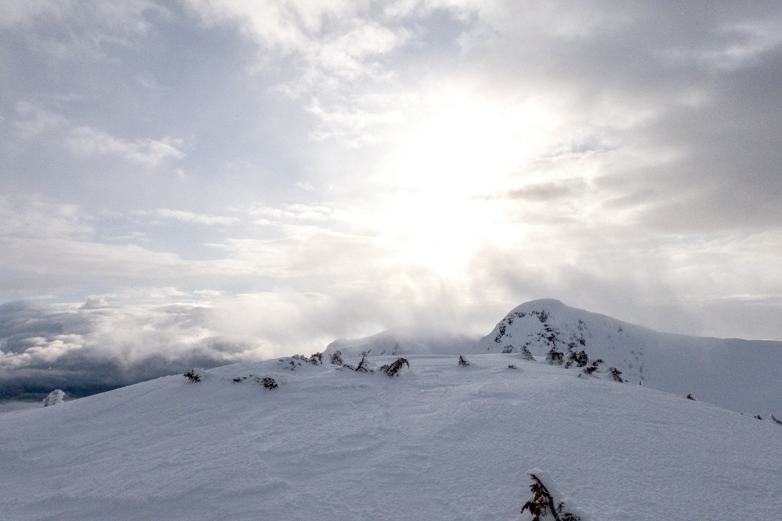 Sunny day at Coastal Mountains at Northern Escape Heli Terrace BC