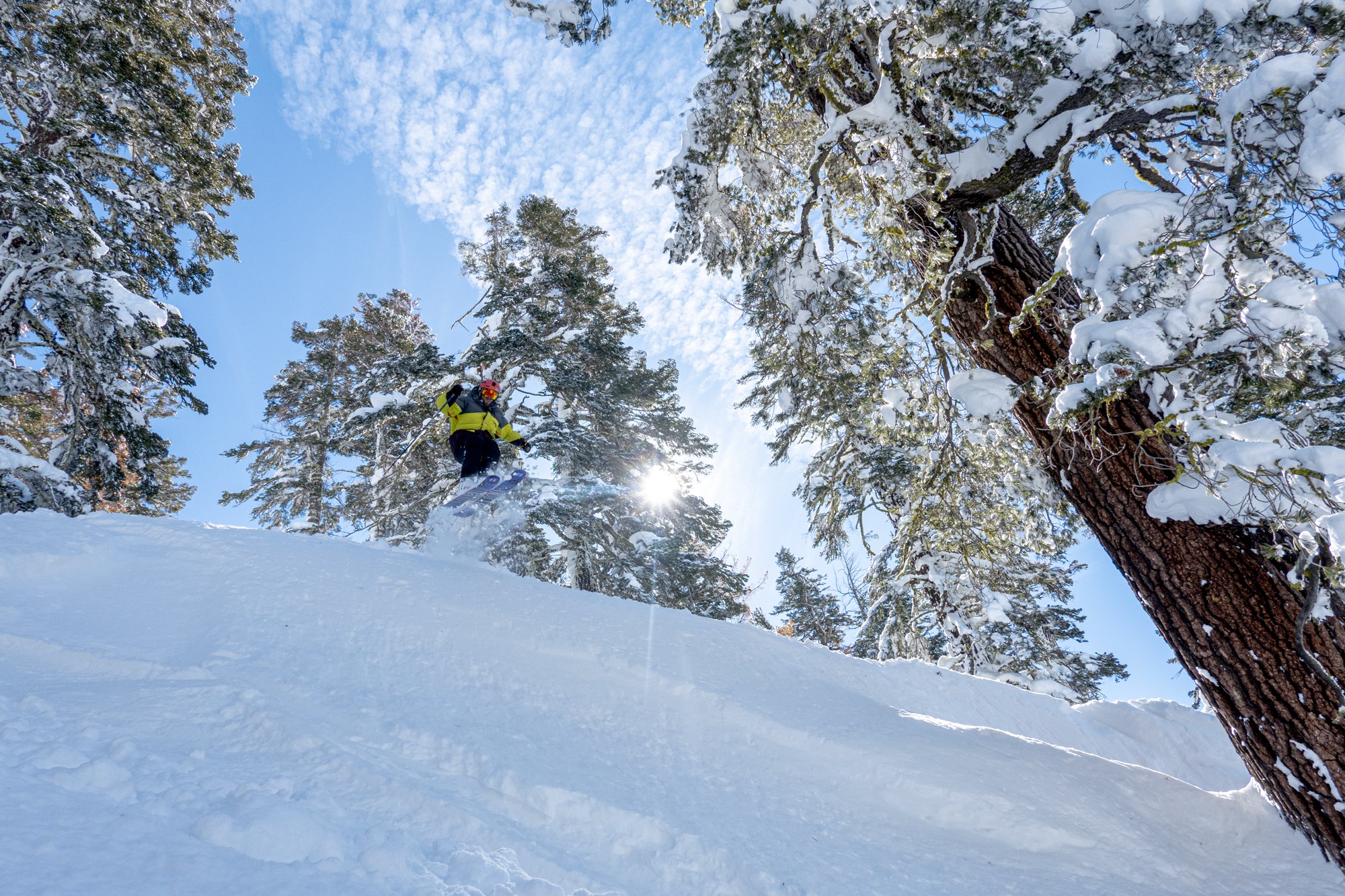 skier jumping into powder at Sierra-at-Tahoe