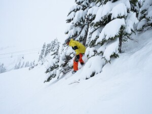 tree skiing at Mt Baker Washington