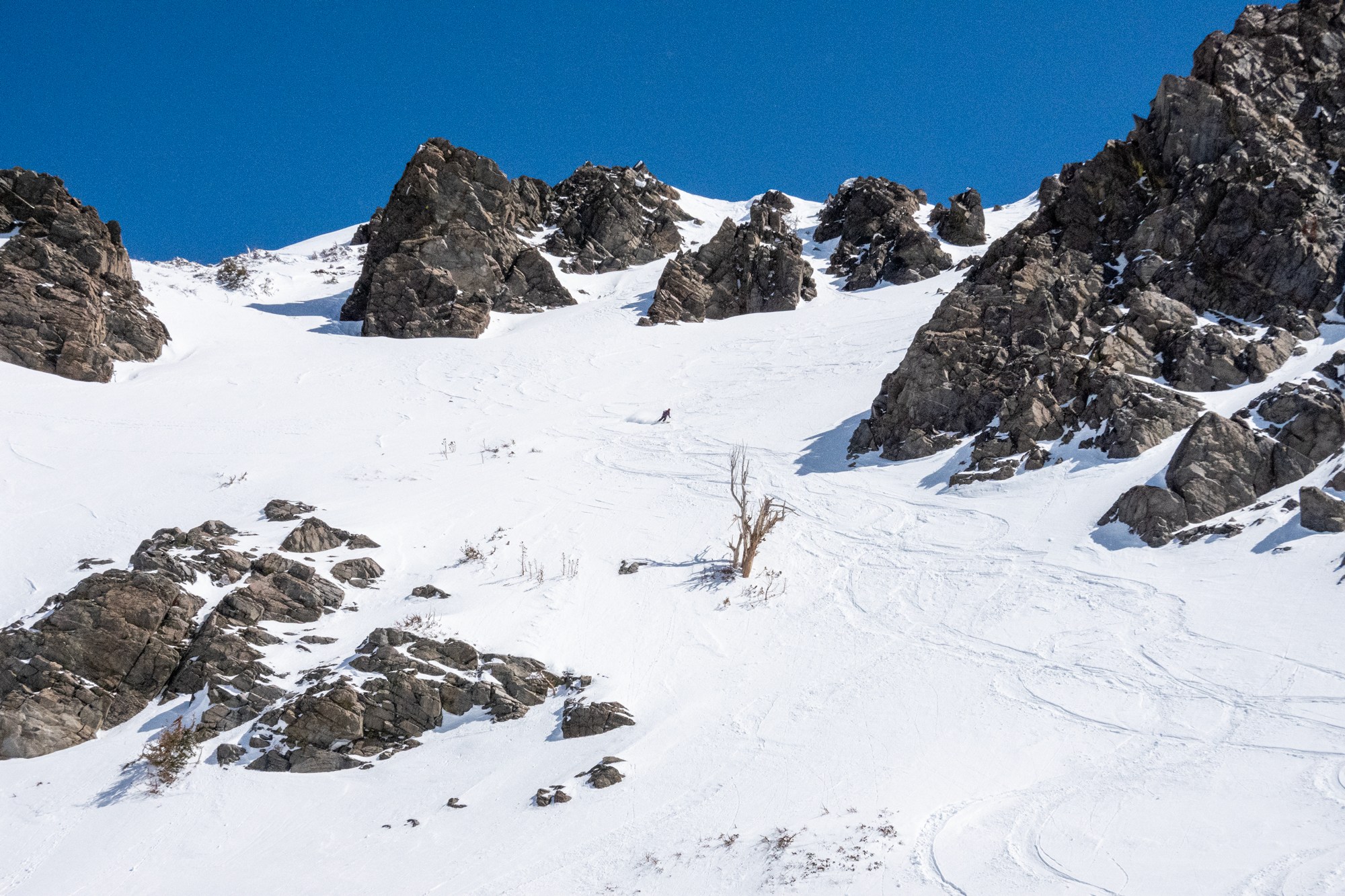 California Chute at Melissa Coray Peak