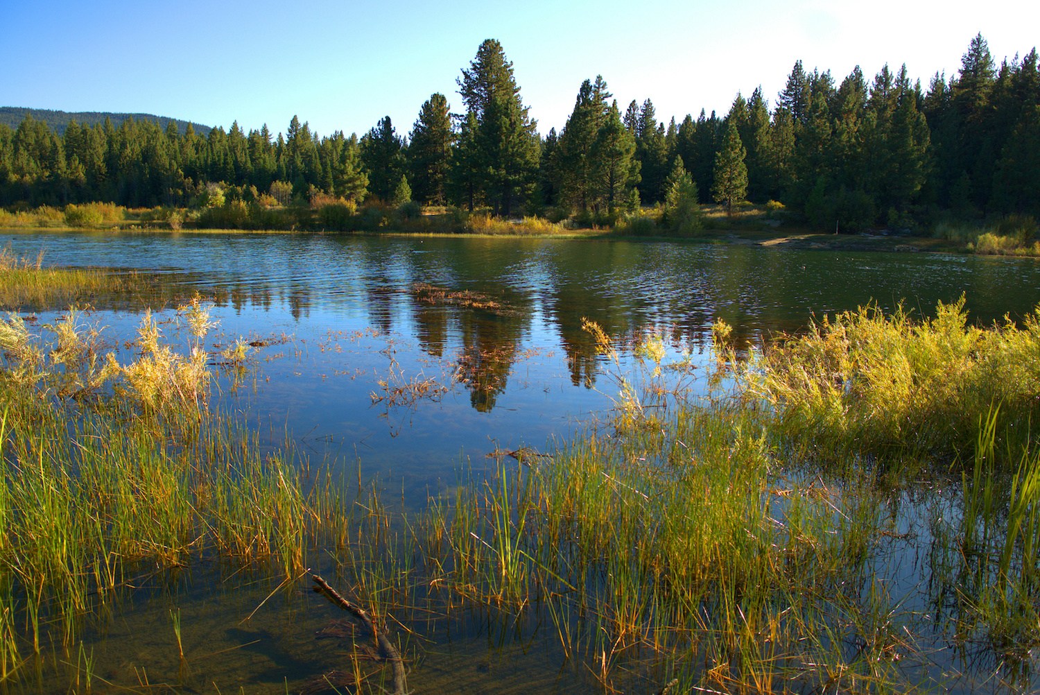 spooner lake tahoe