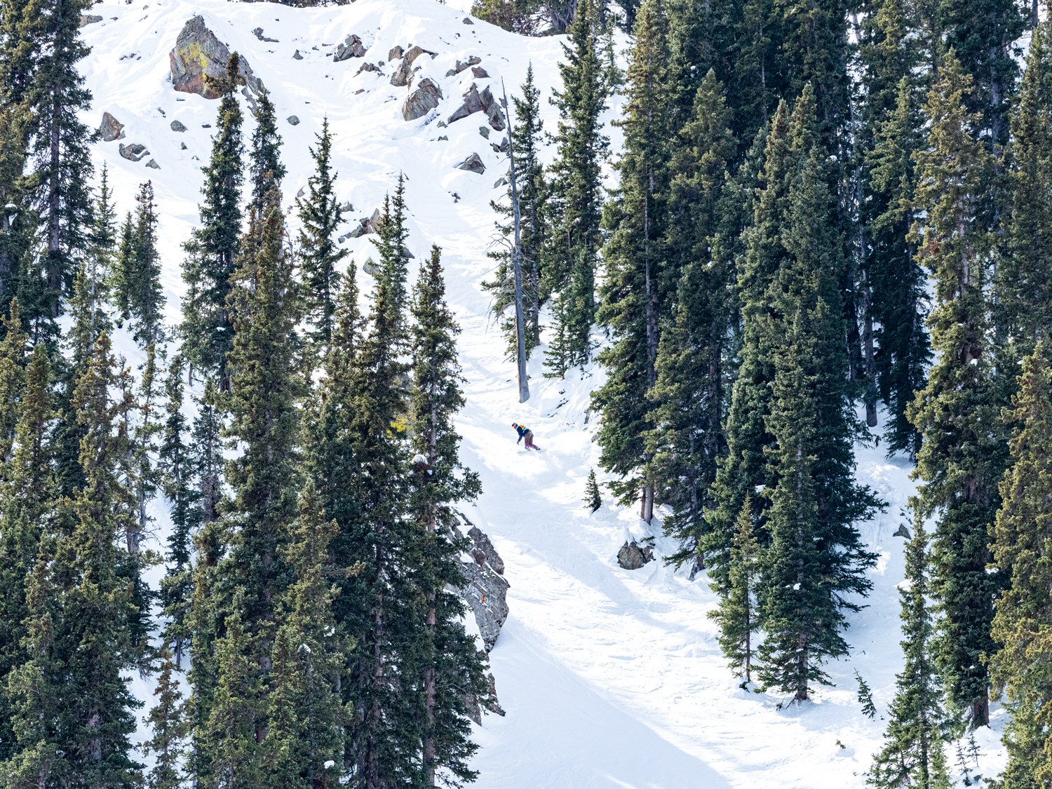 Snowboarder riding the technical terrain at Taos Ski Valley