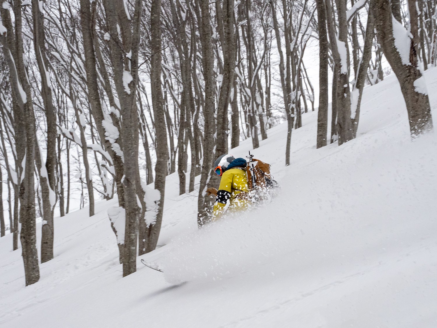 Snowboarder enjoying powder Skiing Japan at Aomori Spring Resort