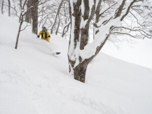Snowboarder enjoying powder Skiing Japan at Aomori Spring Resort