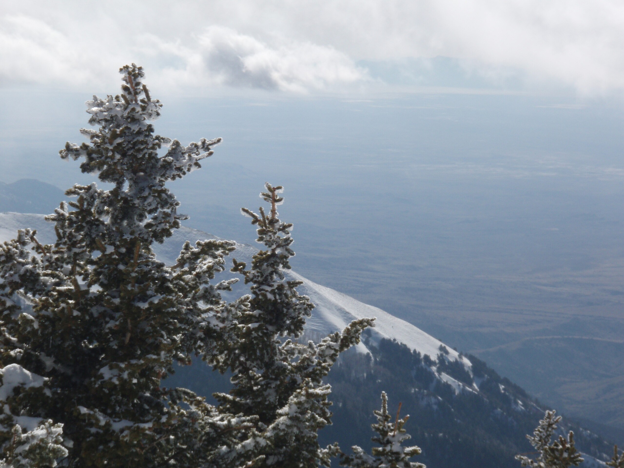 Overlooking the valley from Ski Apache