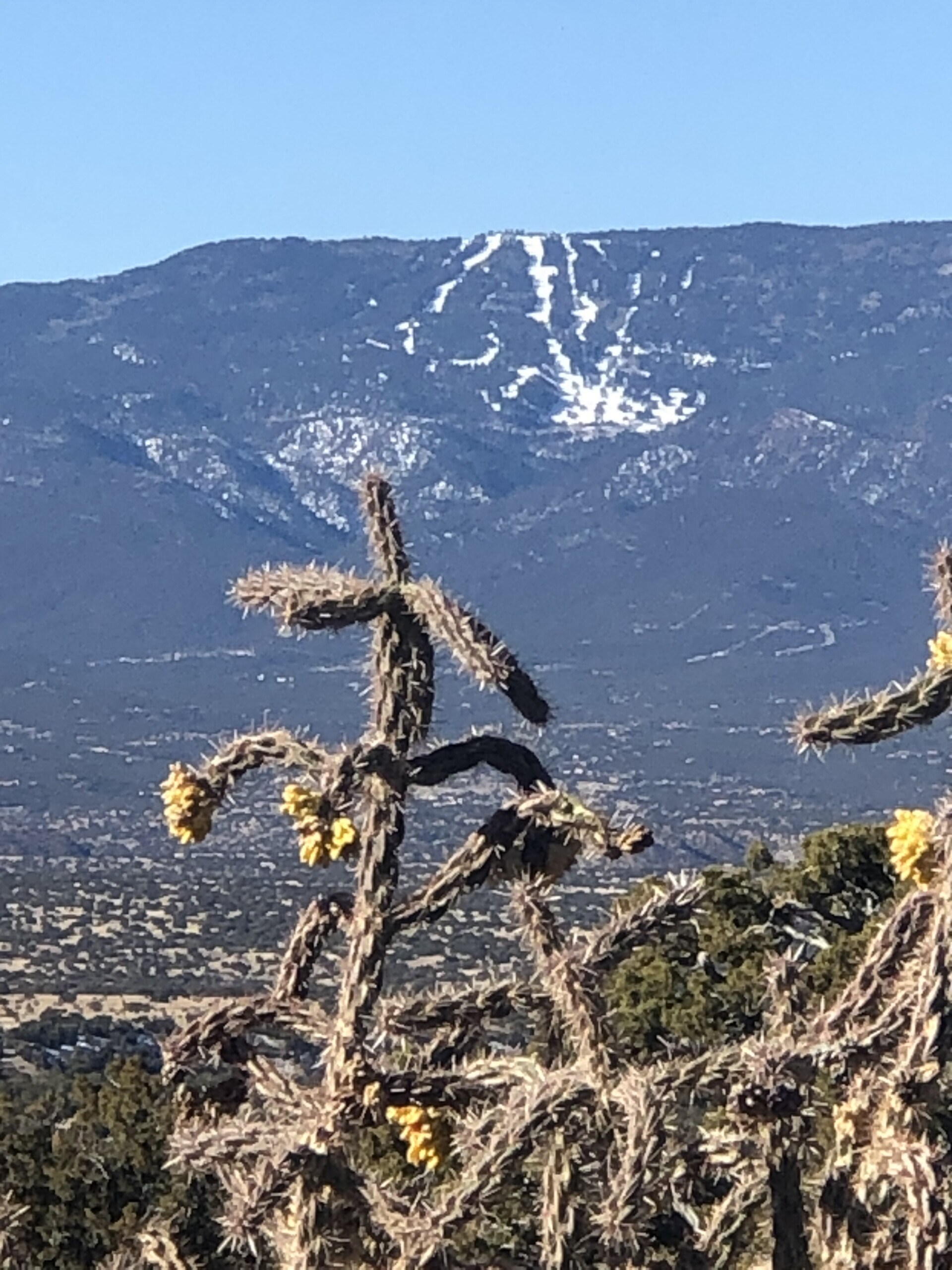 Looking at Sandia Peak from a distance