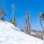 snowboarder finds powder stashes at Pajarito new mexico