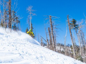 snowboarder finds powder stashes at Pajarito new mexico