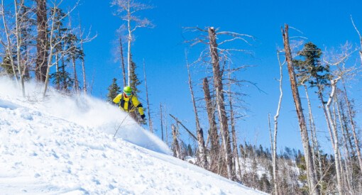 snowboarder finds powder stashes at Pajarito new mexico