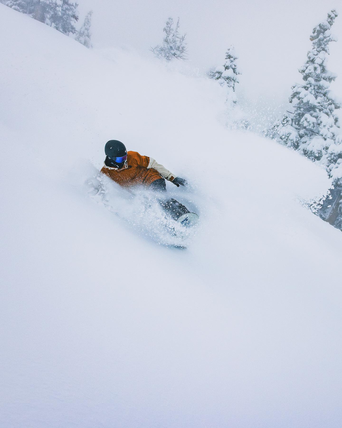 snowboarder slashing deep powder at Big Bear Mountain Resort record big bear ski season
