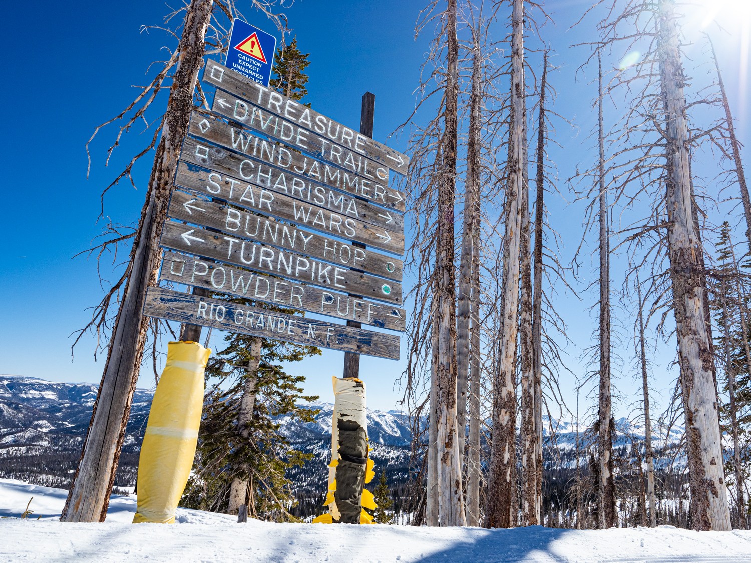 A Little Doggie Changed My Mind - Southern Colorado Ski Resorts
