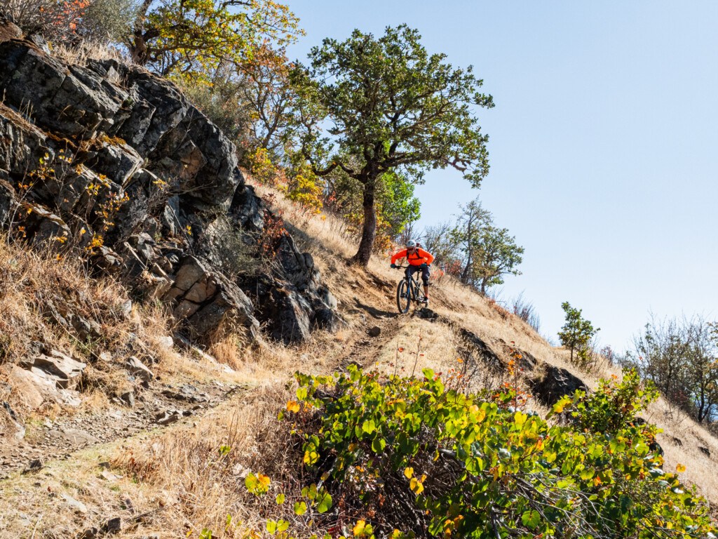 Break down trail at Mountain of the Rogue