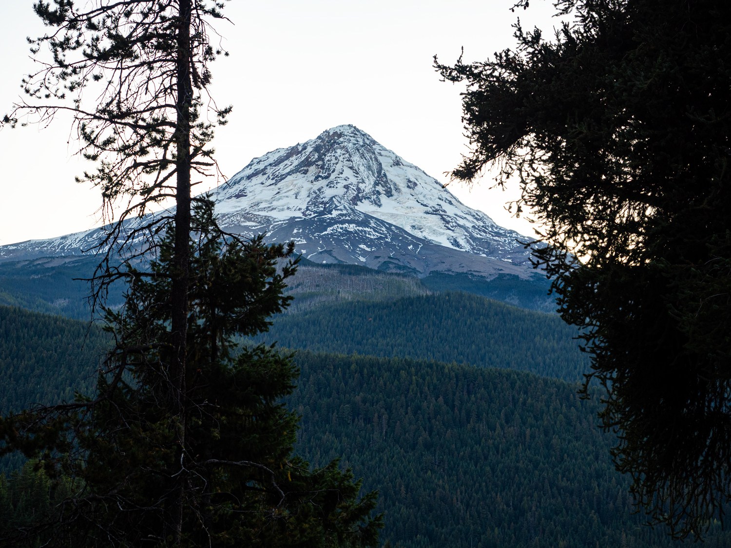 Looking Mt Hood in the fall from 44 Trails