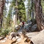 mountain biker and dog enjoying Christmas Valley Tahoe Trail