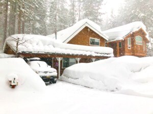 winter predictions