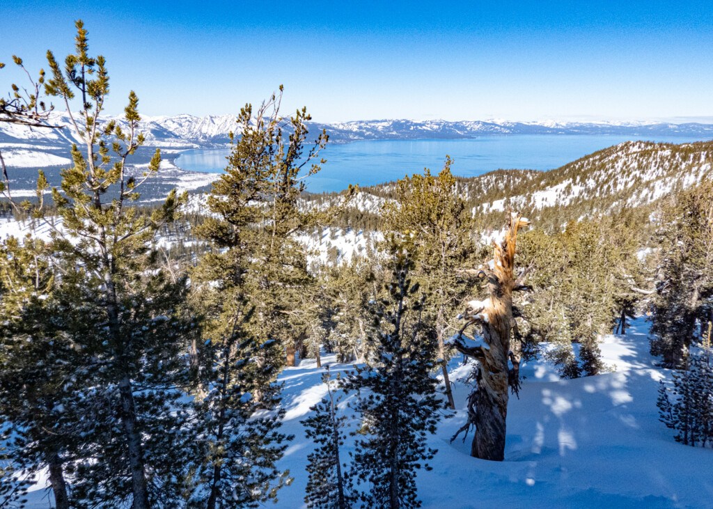 Bluebird day at Heavenly Mountain Resort overlooking Lake Tahoe