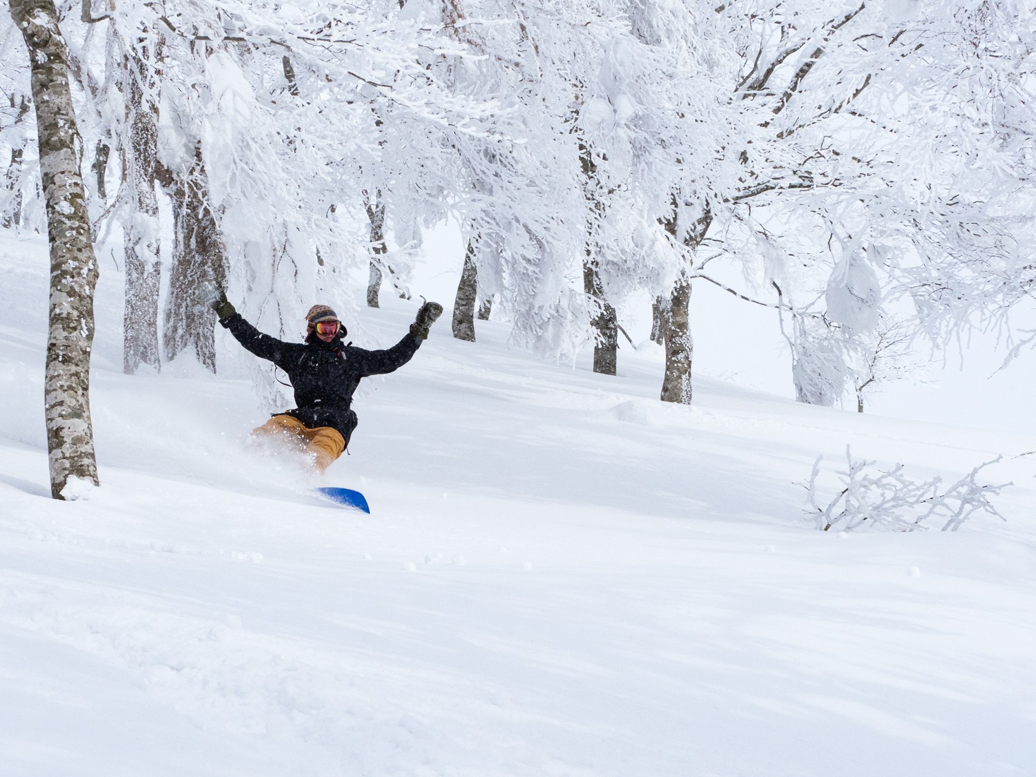 Backcountry splitboarding guide at Ani Ski Resort