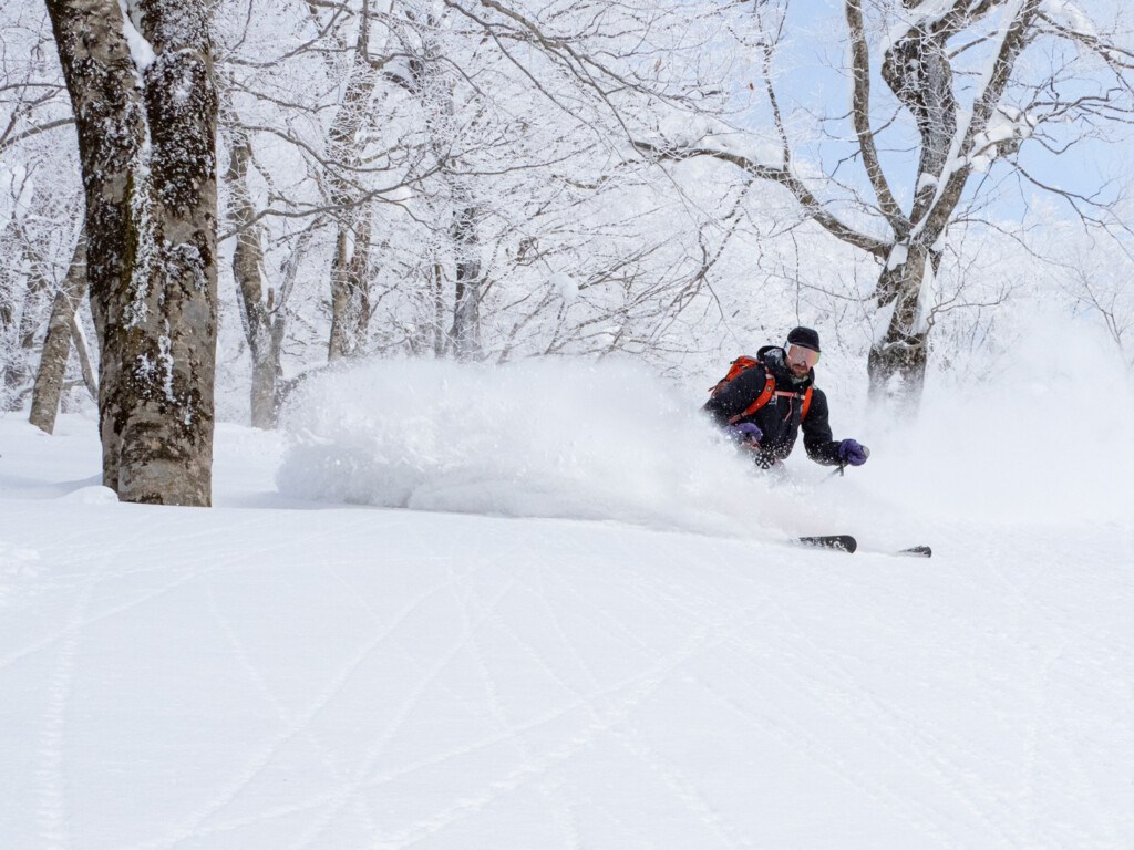Skier enjoying powder at Ani Ski Resort