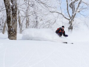 Skier enjoying powder at Ani Ski Resort