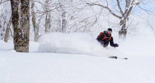 Skier enjoying powder at Ani Ski Resort