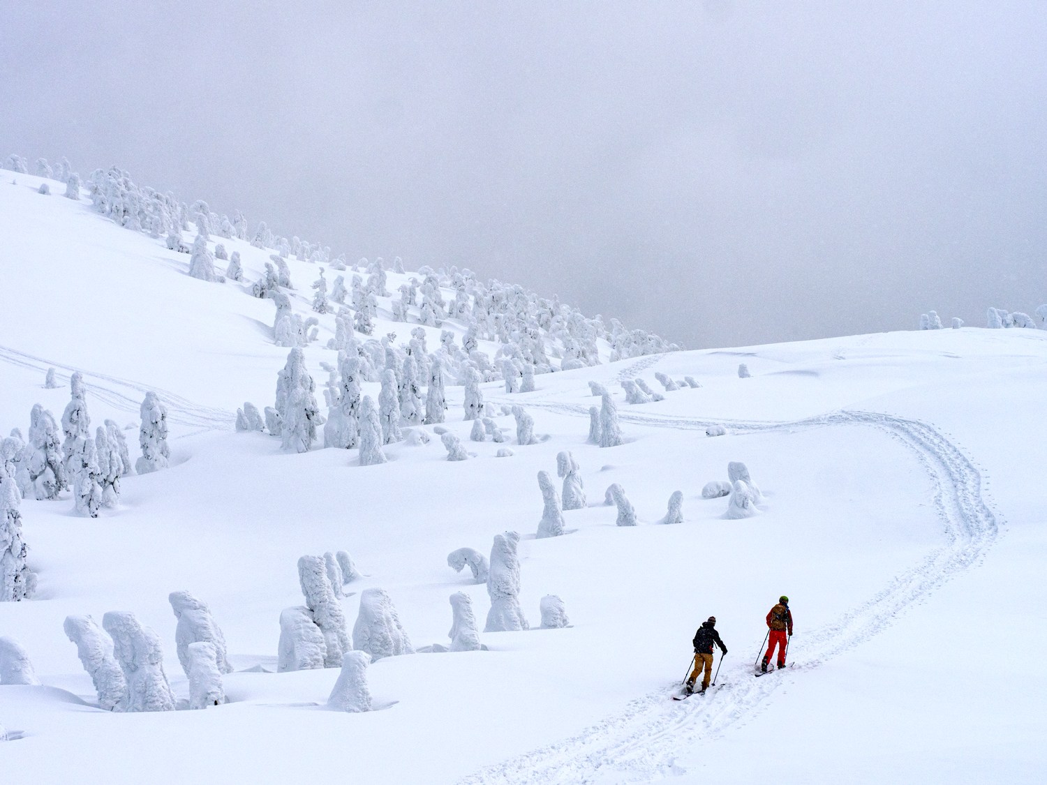 splitboarders skinning past the snow monsters at Ani Ski Resort