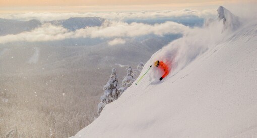 powder day at Mt Hood Meadows