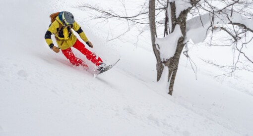 snowboarder showing that the best type of snow for skiing and snowboarding is powder