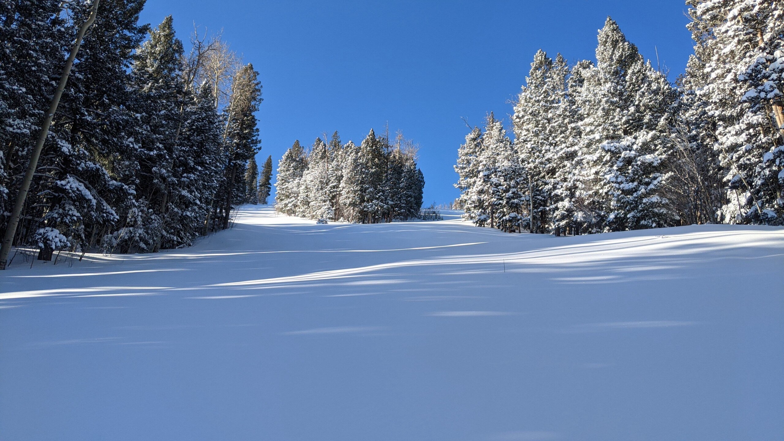untouched ski trails before opening at Pajarito Mountain