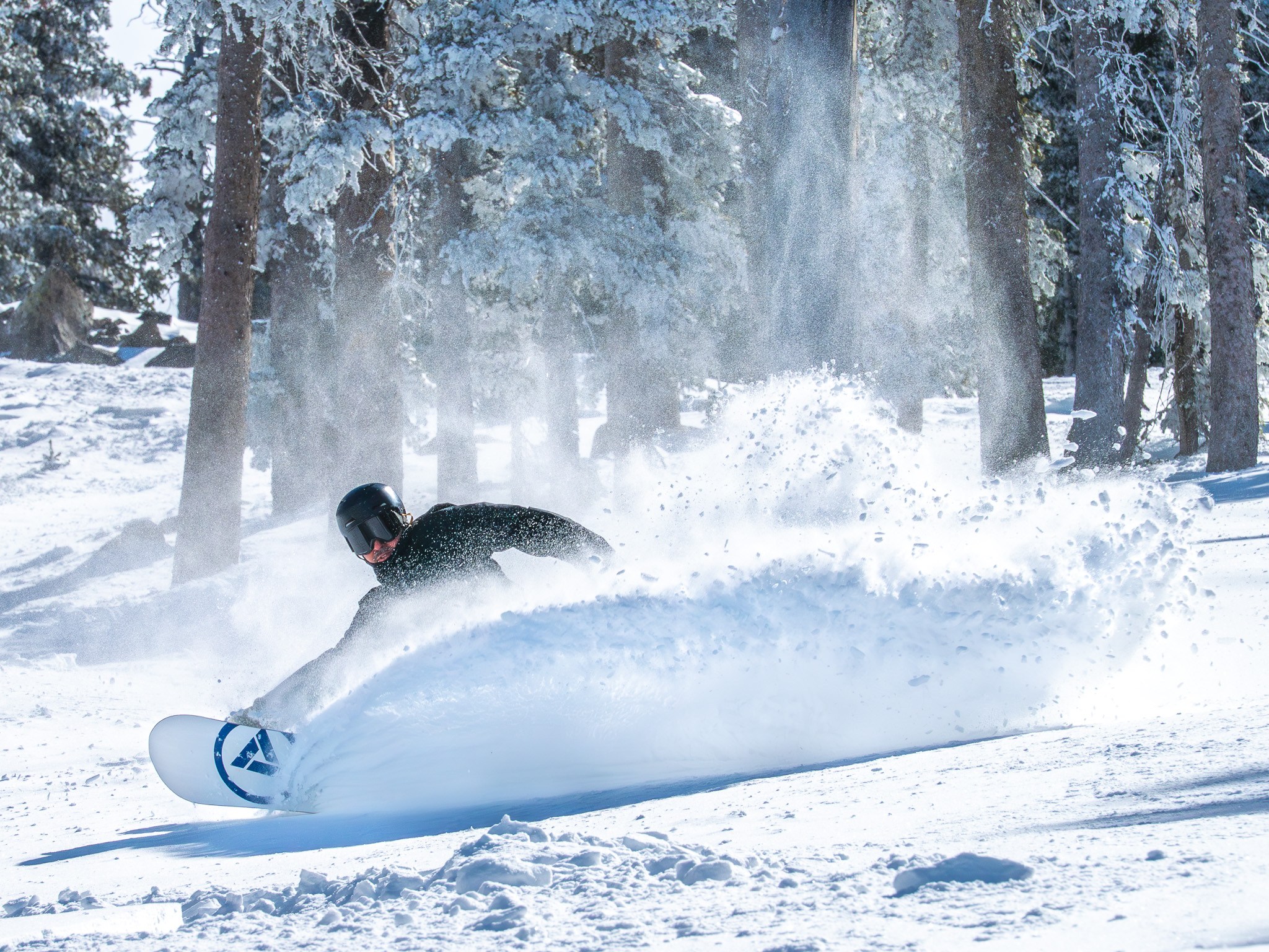 snowboarder slashing deep powder in Arizona