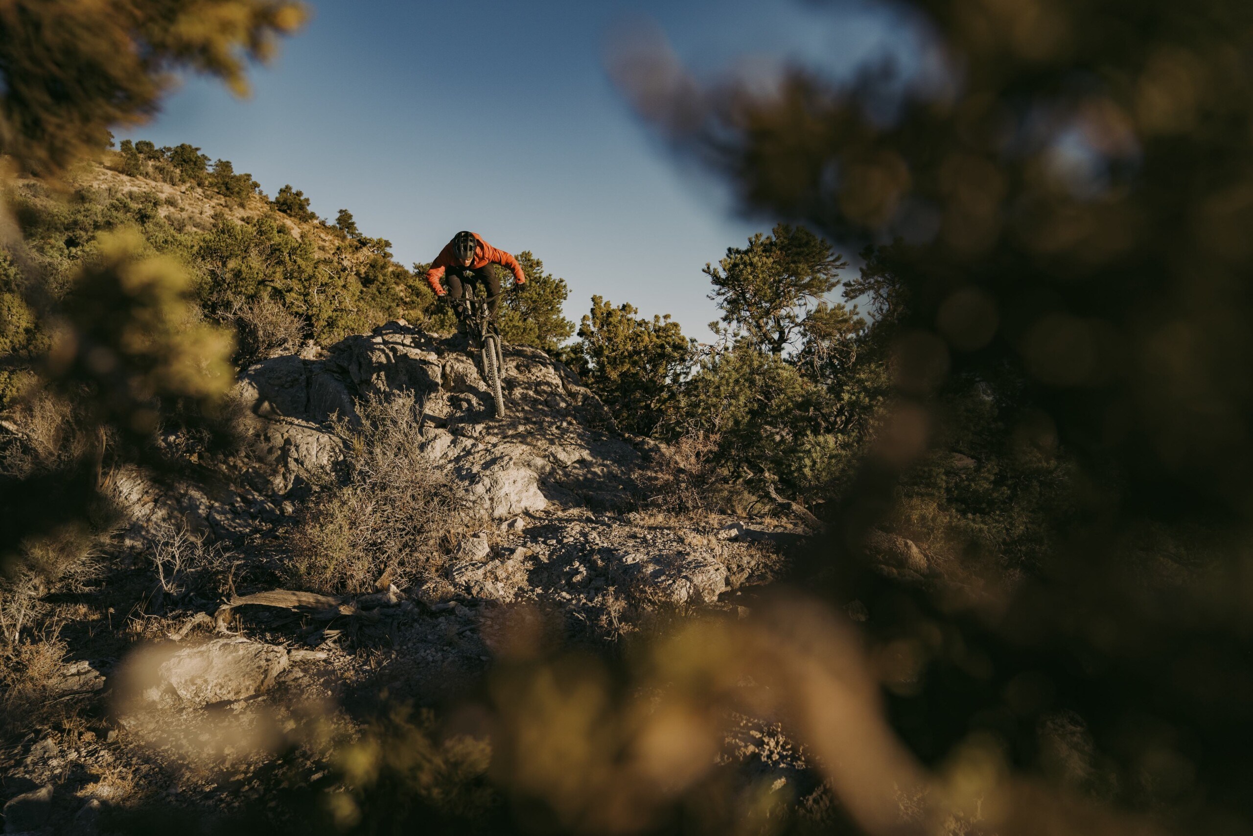 Mountain Biker dropping into Rob's Knob