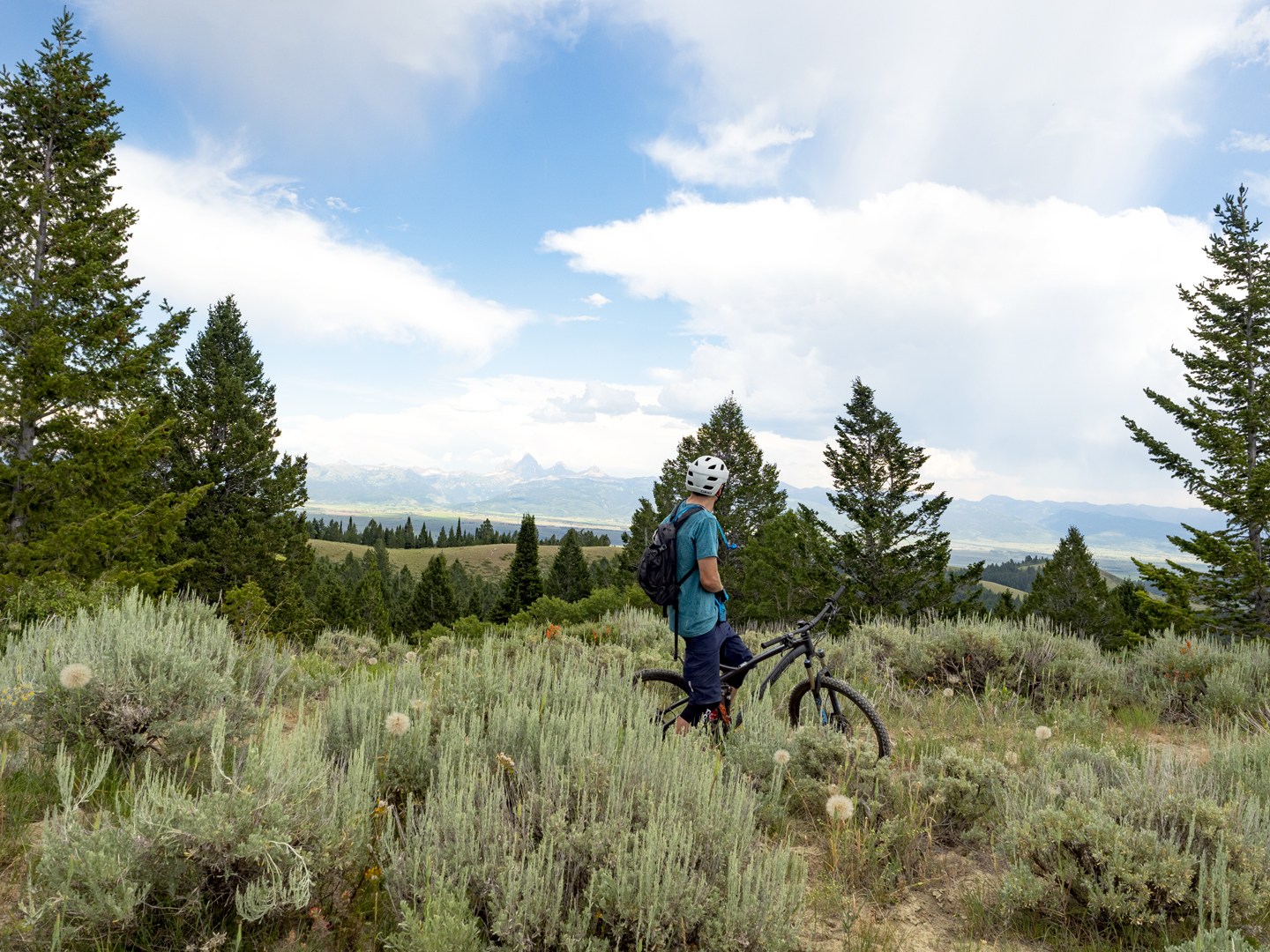 Mountain biker looks at the views of the Tetons from Horseshoe Canyon Idaho