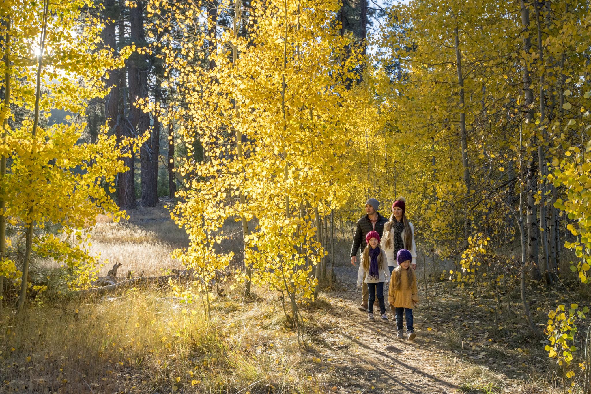 Fallen Leaf Lake in the fall with Aspens in full bloom