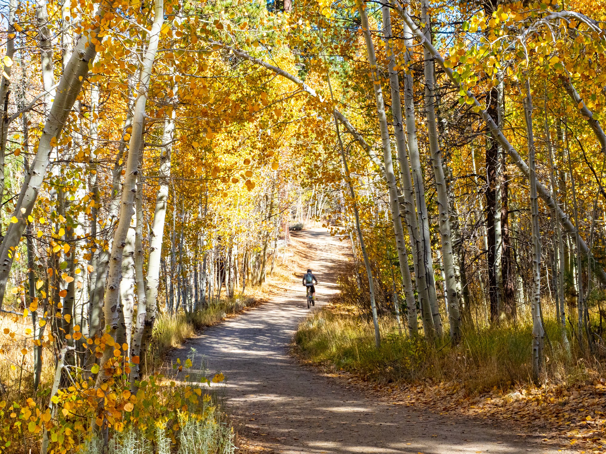 fall foliage on North Canyon Road - Spooner Lake State Park